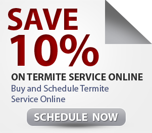 Schedule Online and Save 10%