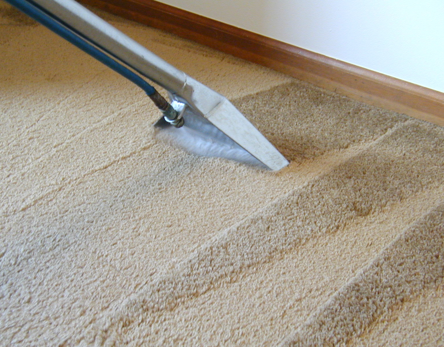 BH Carpet Cleaning - Cleaning Services (Commercial, Residential) in New York, Un