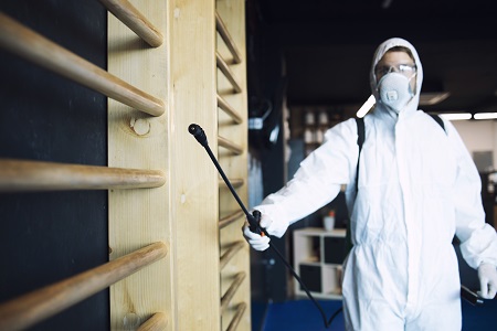 Why Annual Termite Inspection is Important?