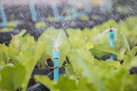 How Drip Irrigation Can Revolutionize Landscape Maintenance?