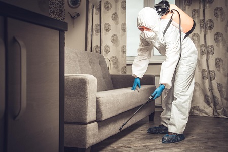When to Choose Fumigation over Other Termite Treatments? - A Guide