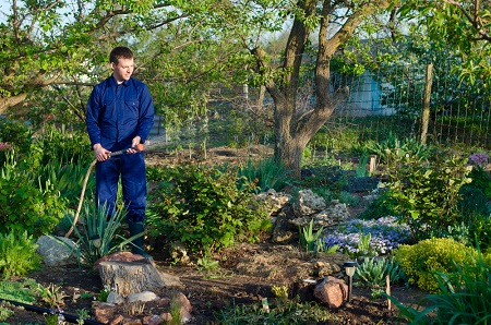 Why Choose Local Landscaping Services for Your Garden?