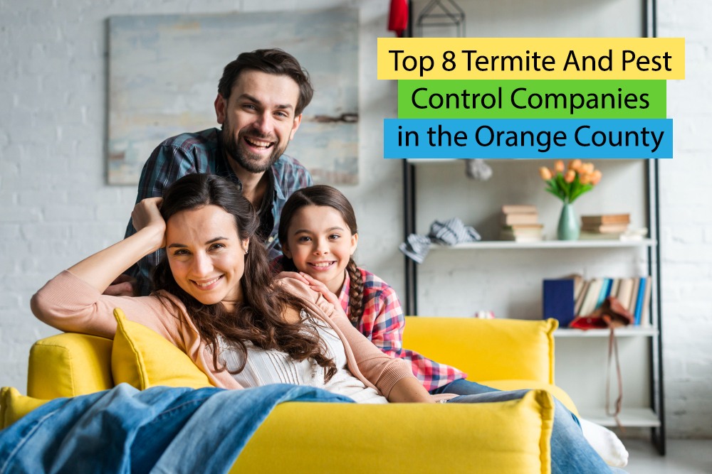 Top 8 Termite And Pest Control Companies In The Orange County Area