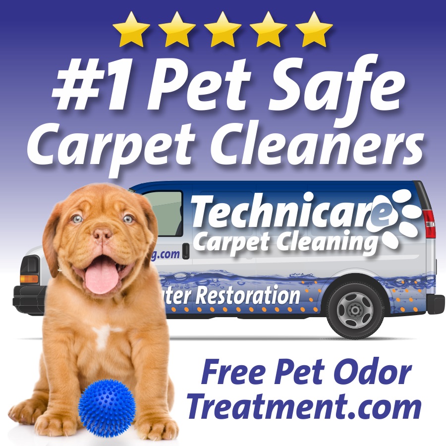 Technicare Carpet Cleaning and more... Technicare Carpet Cleaning and more...
