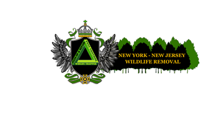 NY/NJ Wildlife Removal, Inc
