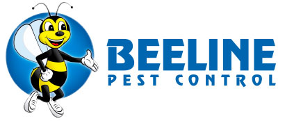 Beeline  Pest Control