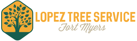 Lopez Tree Service Fort Myers Lopez Tree Service Fort Myers