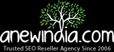 A New India SEO Reseller Agency