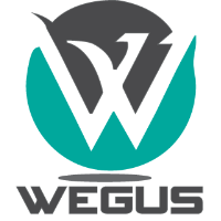 Wegus Infotech 