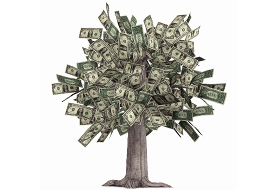 Title Loans Anderson Title Loans Anderson