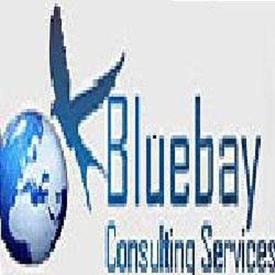 Bluebay Consulting Bluebay Consulting