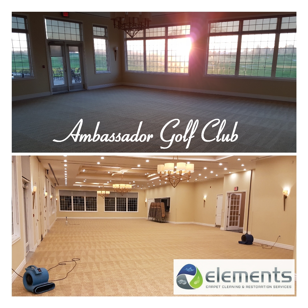 Elements carpet cleaning and restoration Elements carpet cleaning and restoration