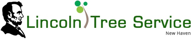 Lincoln Tree Service Lincoln Tree Service