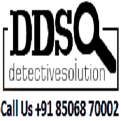 DDS Detective Solution DDS Detective Solution