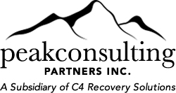 Peak Consulting Partners