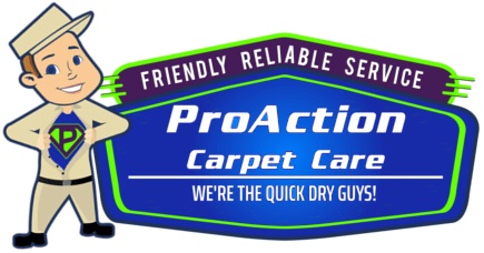 ProAction Carpet Care LLC