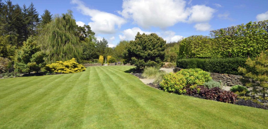 R F Landscaping Mntnc & Repair R F Landscaping Mntnc & Repair