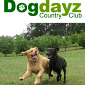 Dogdayz Country Clubs