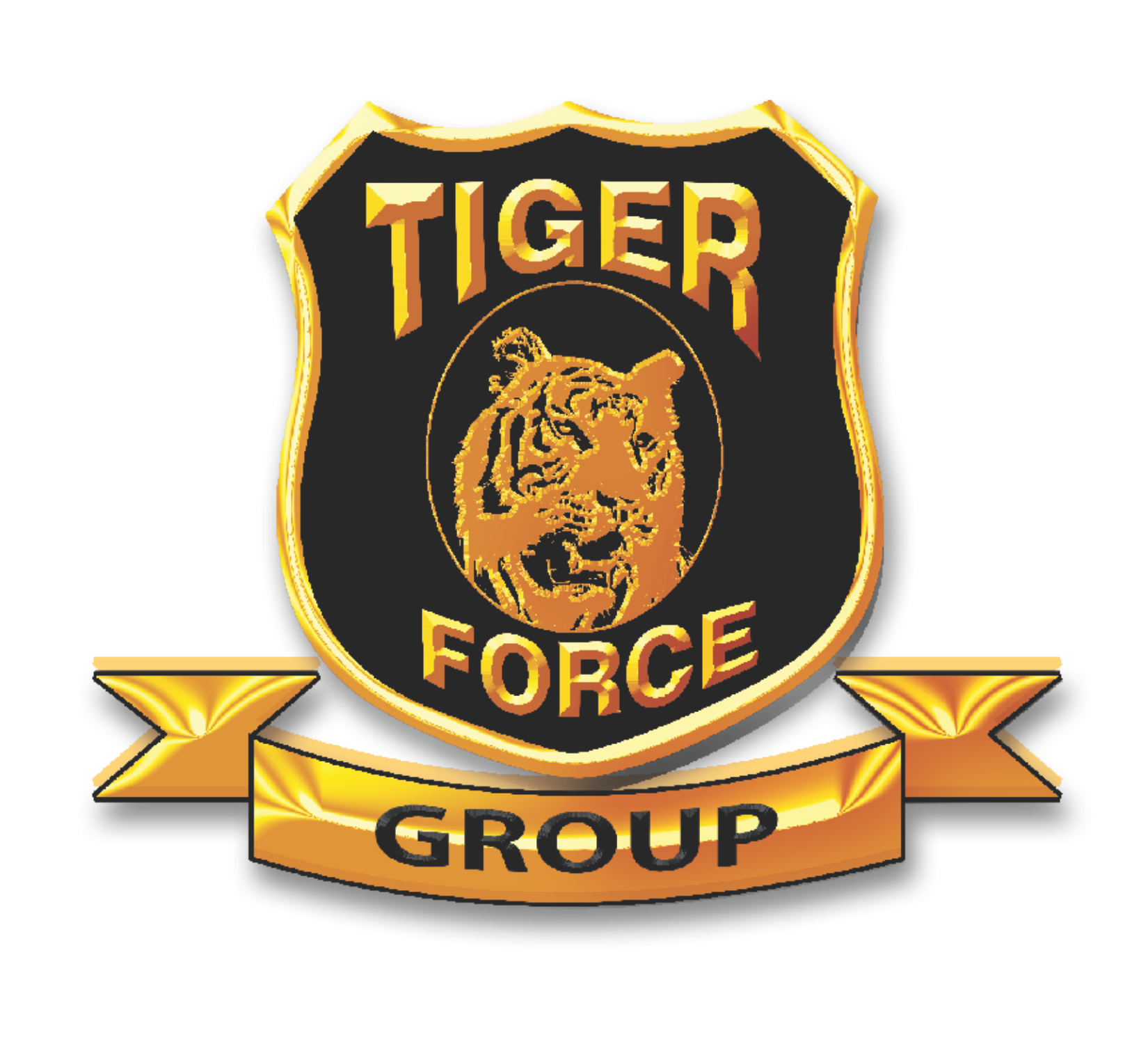 TIGER FORCE GROUP