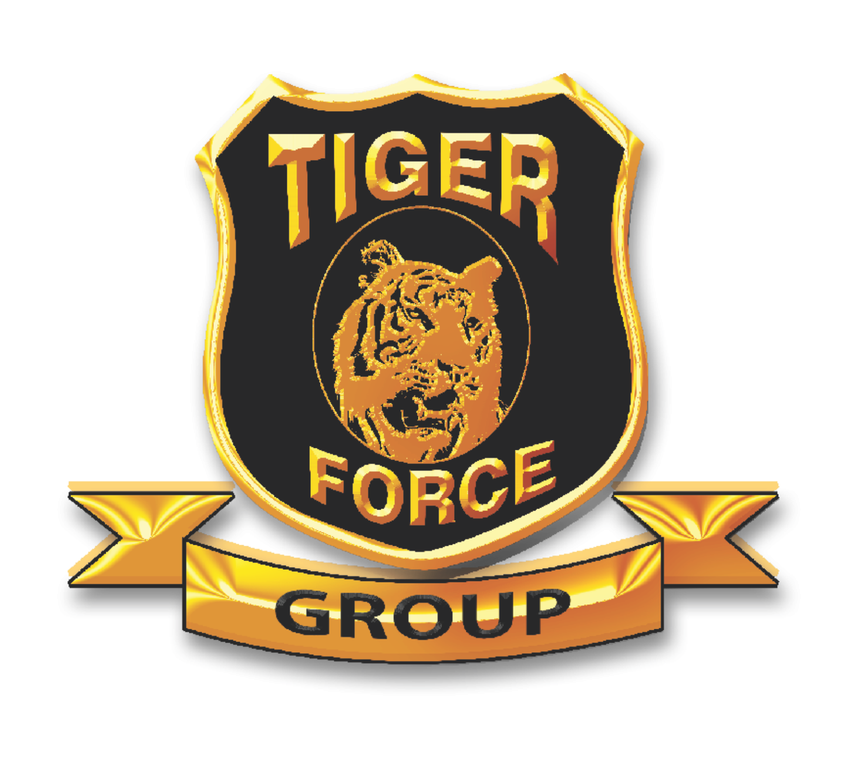 TIGER FORCE GROUP TIGER FORCE GROUP