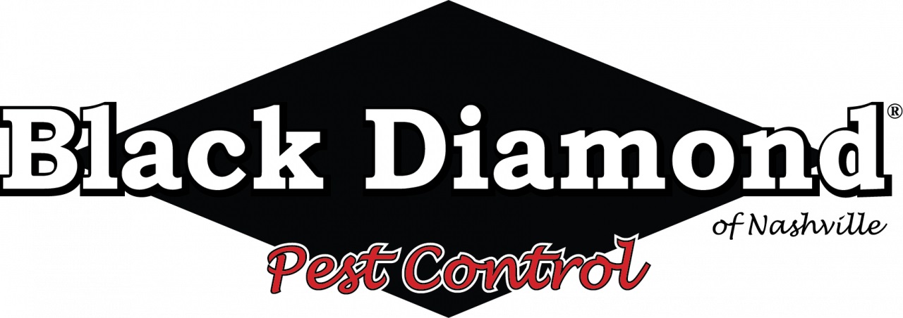 Black Diamond Pest Control Nashville