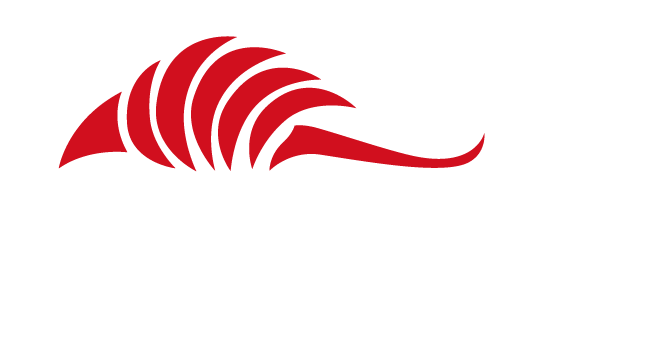 Armadillo Roofing