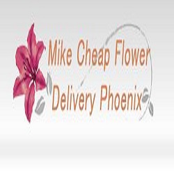 Order Same Day Flower Delivery Phoenix AZ