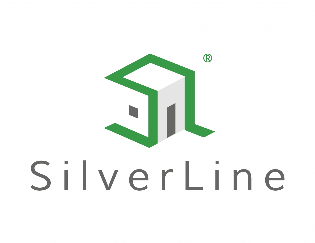 SilverLine Exterior Solutions