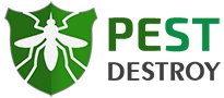 Pest Destroy