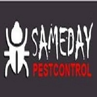 Same Day Pest Control