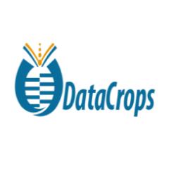 Datacrops Software Pvt Ltd