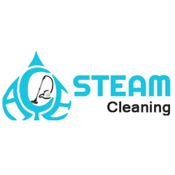 Ace Steam Cleaning