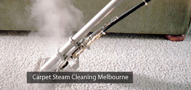 Spotless Carpet Steam Cleaning