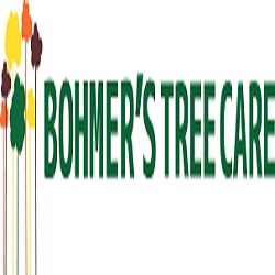 Tree Care Wollongong Tree Care Wollongong
