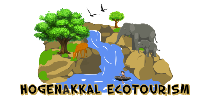 hogenakkalecotourism hogenakkalecotourism