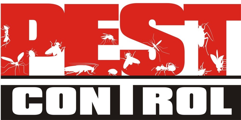 Pest Control Adelaide