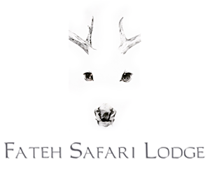 Fateh Safari Lodge Kumbhalgarh Luxury Hotel