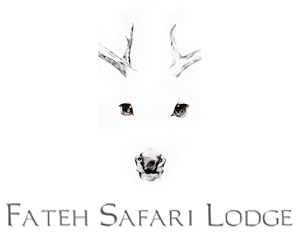 Fateh Safari Lodge Kumbhalgarh Luxury Hotel Fateh Safari Lodge Kumbhalgarh Luxury Hotel