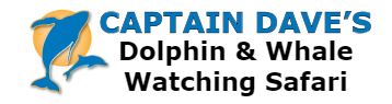 Captain Dave's Dolphin &Whale Watching Safari Captain Dave's Dolphin &Whale Watching Safari