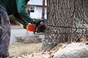 Orange County Termite Control Orange County Termite Control
