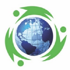 Health and Wellness Network of Commerce Corporation Health and Wellness Network of Commerce Corporation