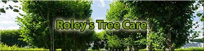 Roley's Tree Service & Landscaping - Consulting Arborist