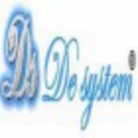 De System Inc De System Inc