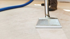Northern Beaches Carpet Cleaning