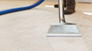 Northern Beaches Carpet Cleaning Northern Beaches Carpet Cleaning