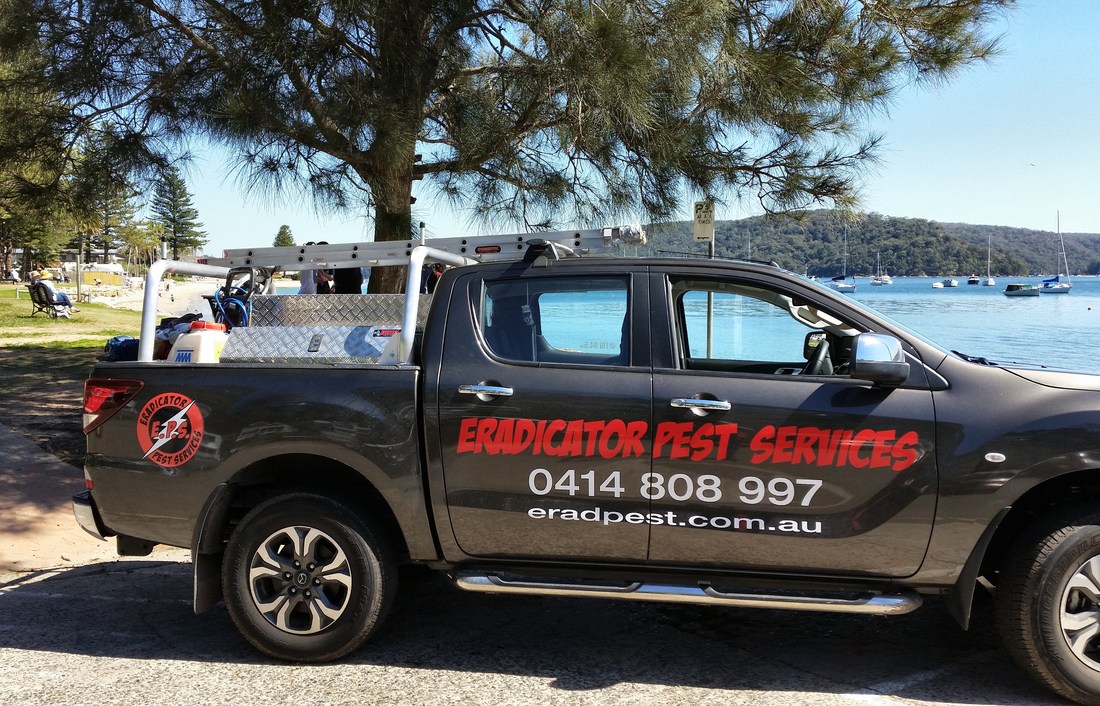 Eradicator Pest Services Eradicator Pest Services
