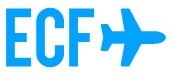 Executive Charter Flights Executive Charter Flights