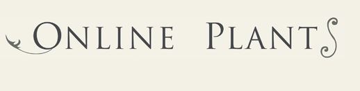 Online Plants Online Plants