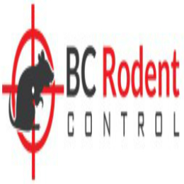 Rodent Control Vancouver Rodent Control Vancouver