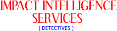Impact Intelligence Services Impact Intelligence Services